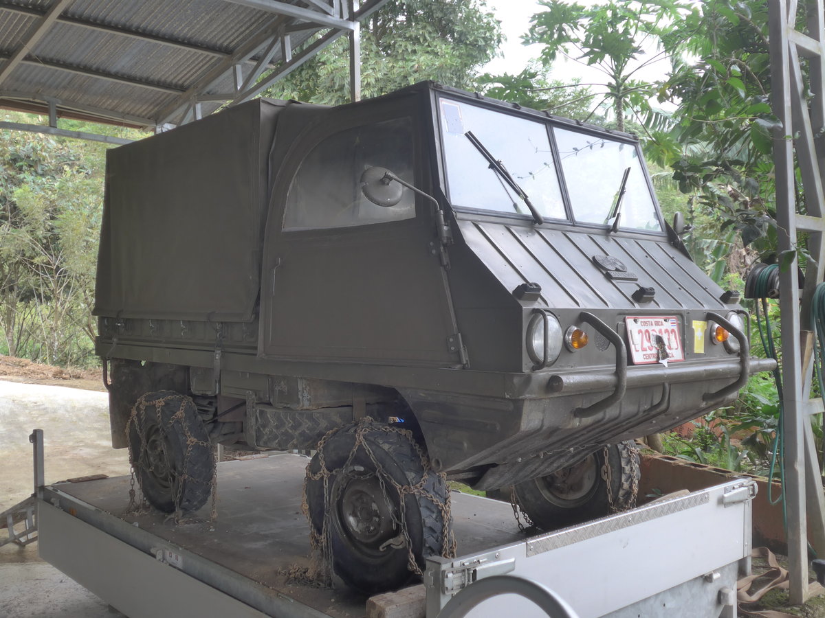 (211'582) - Steyr-Puch - CL 290'139 - am 18. November 2019 in Rio Jsus