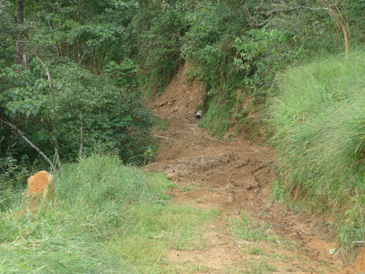 (211'600) - Der Weg ins Tal am 18. November 2019 in Rio Jsus