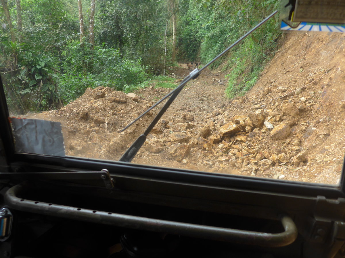 (211'601) - Fahrt im Haflinger am 18. November 2019 in Rio Jsus