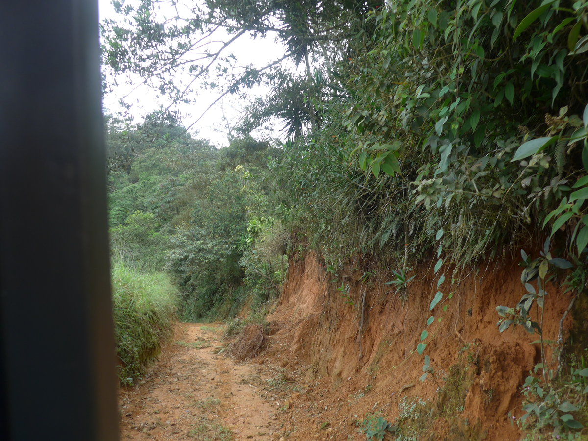 (211'609) - Fahrt im Haflinger am 18. November 2019 in Rio Jsus