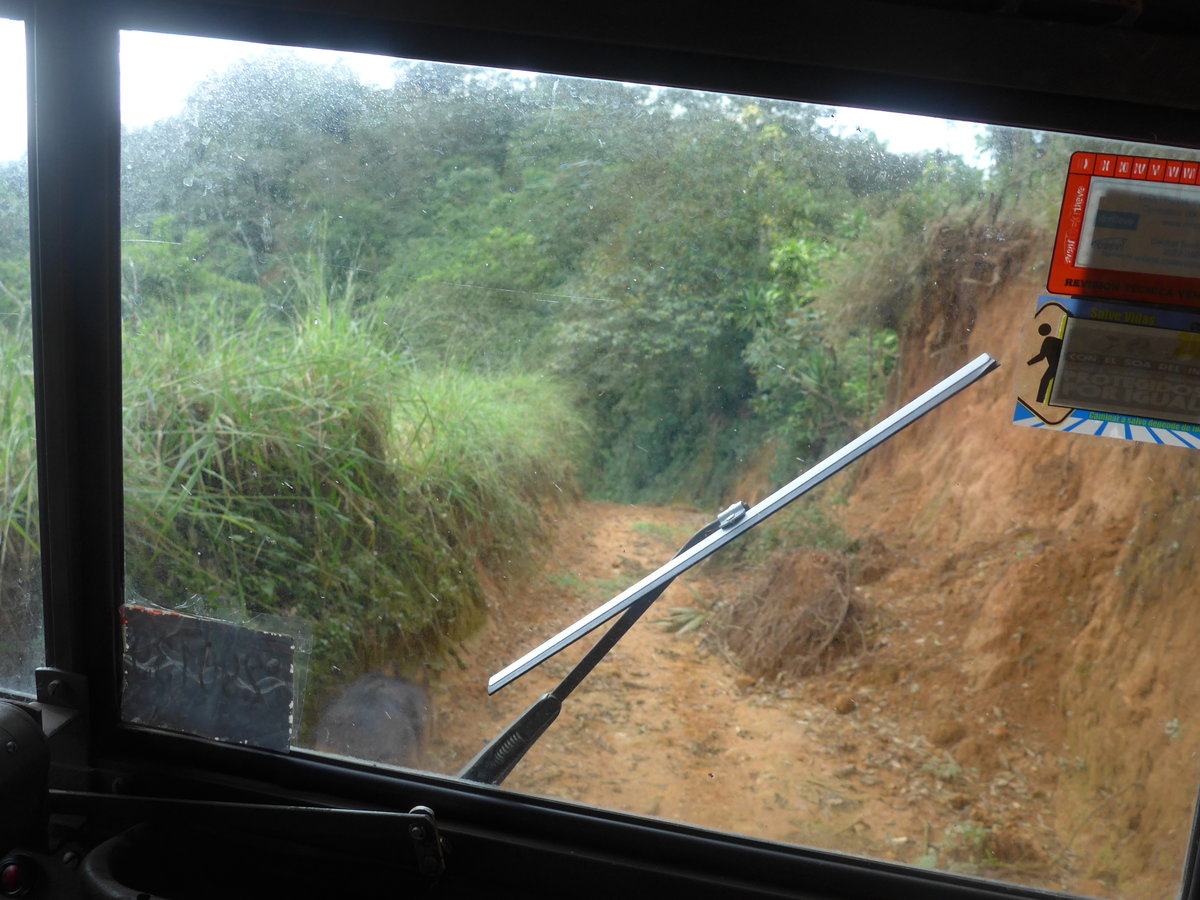 (211'610) - Fahrt im Haflinger am 18. November 2019 in Rio Jsus