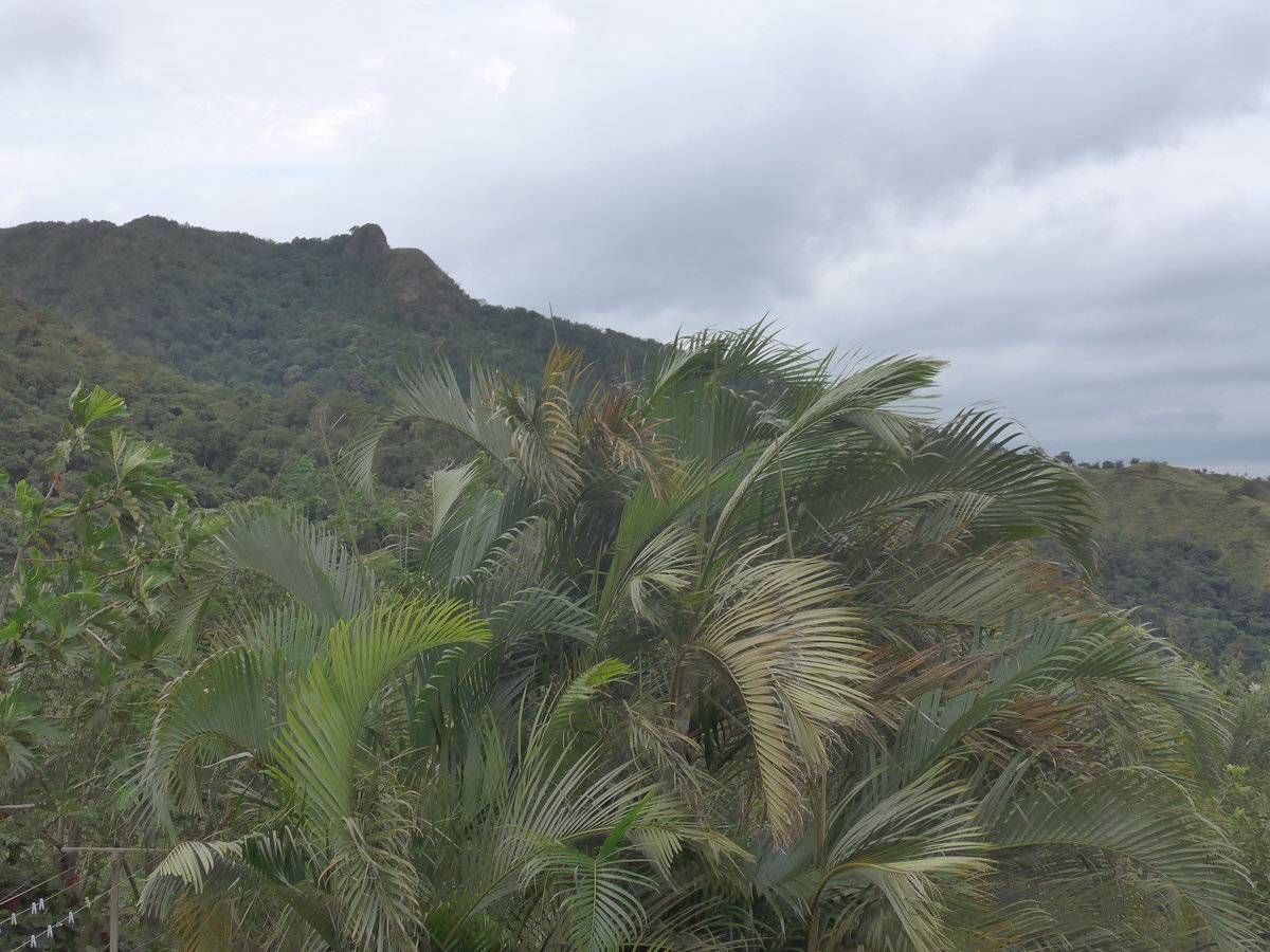(211'625) - Blick zum Aussichtspunkt am 18. November 2019 bei Rio Jsus