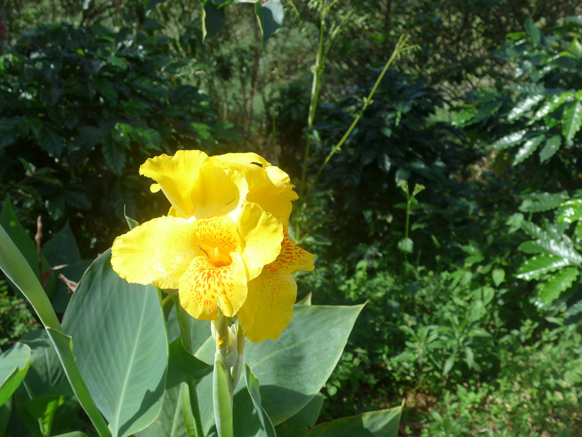 (211'630) - Natur am 19. November 2019 in Rio Jsus