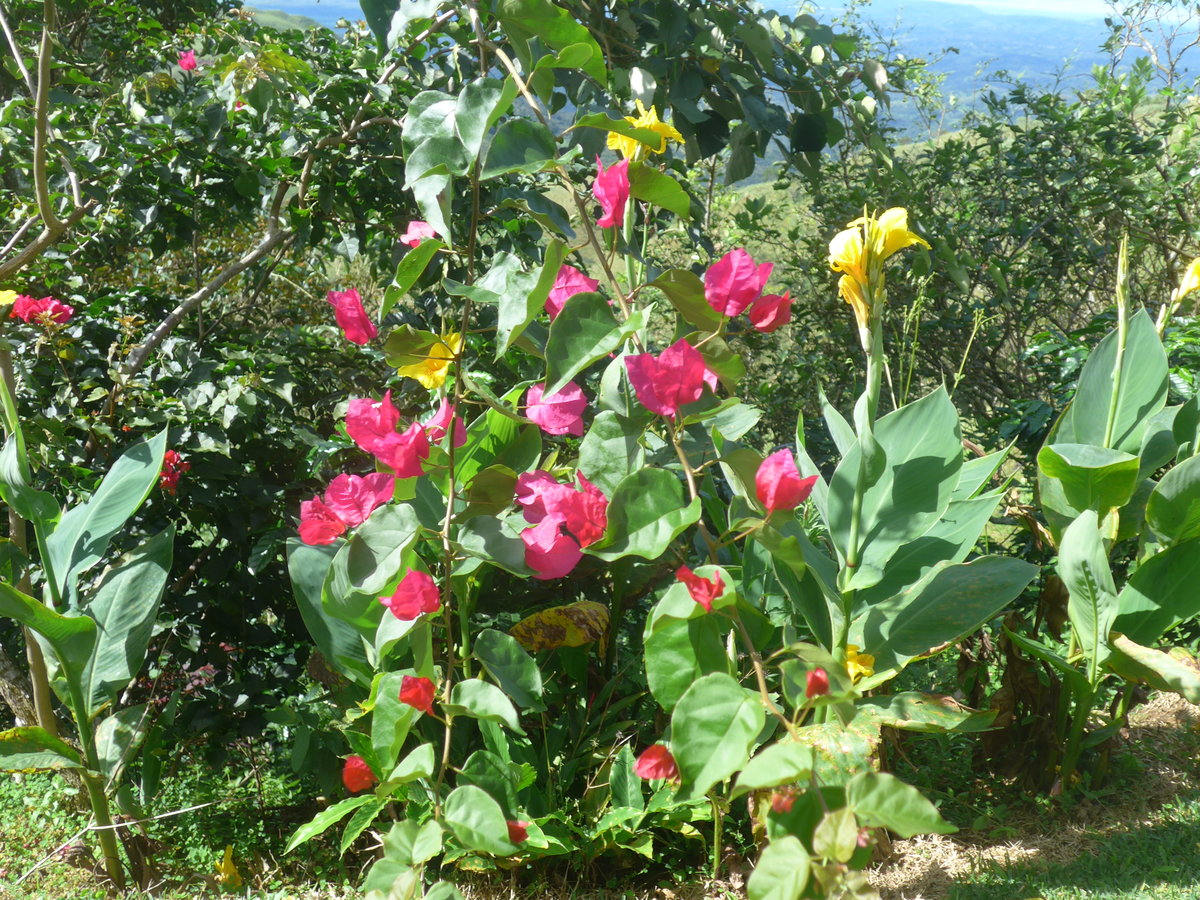 (211'631) - Natur am 19. November 2019 in Rio Jsus