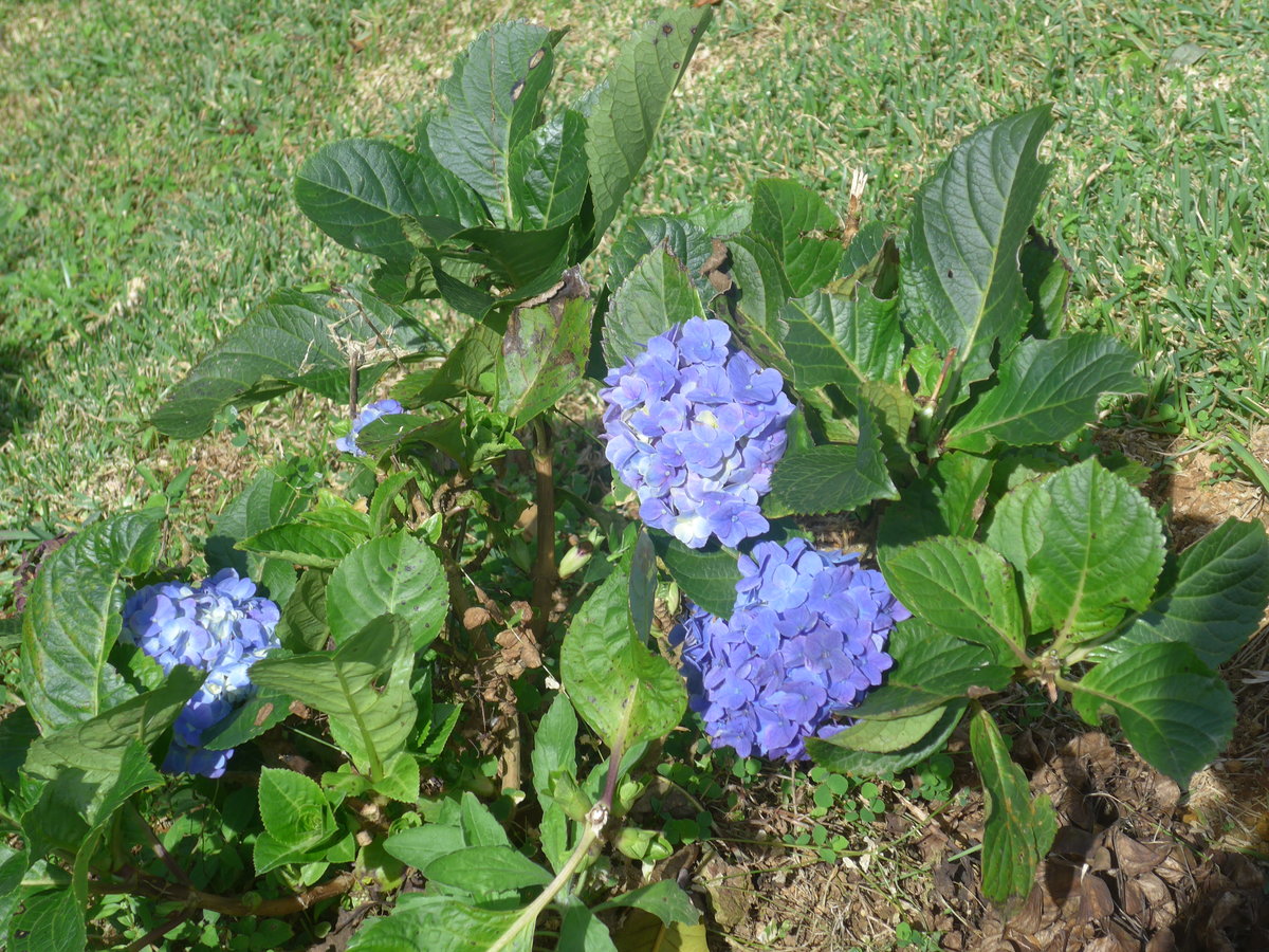 (211'637) - Natur am 19. November 2019 in Rio Jsus