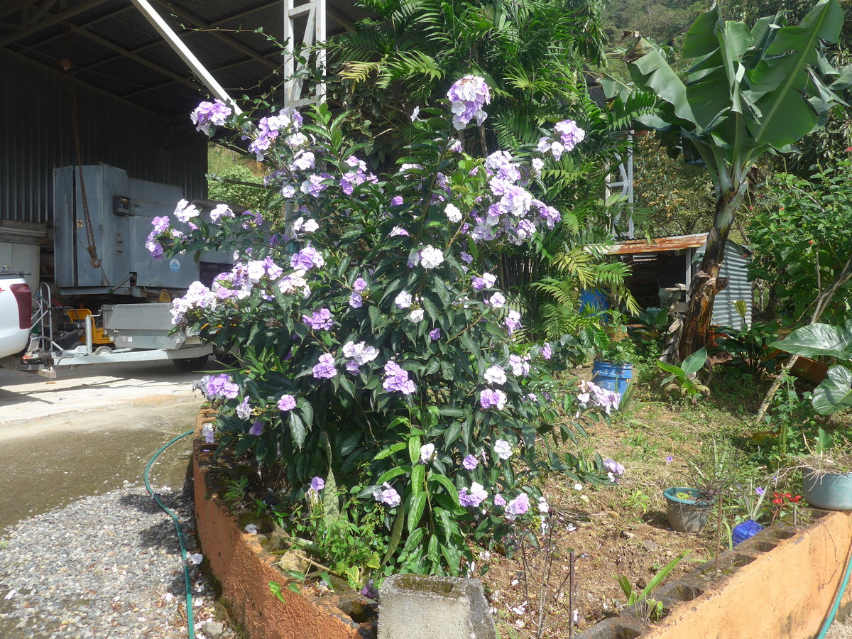 (211'641) - Natur am 19. November 2019 in Rio Jsus
