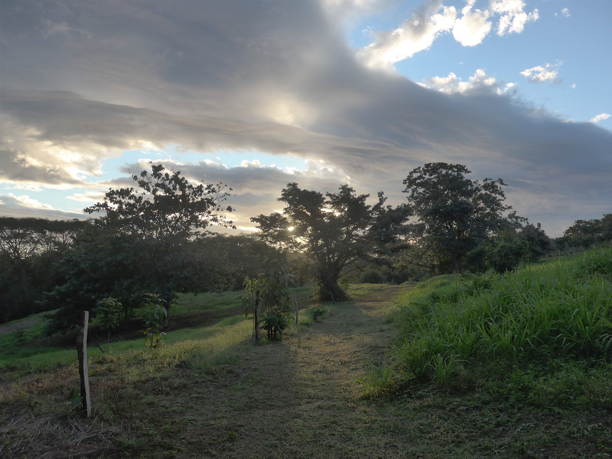 (211'932) - Abendstimmung am 21. November 2019 in La Cruz, Caas Castilla