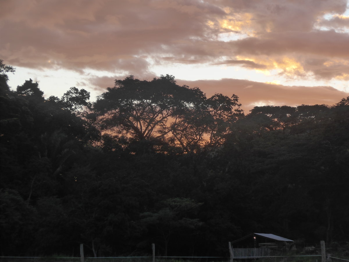 (211'940) - Abendstimmung am 21. November 2019 in La Cruz, Caas Castilla