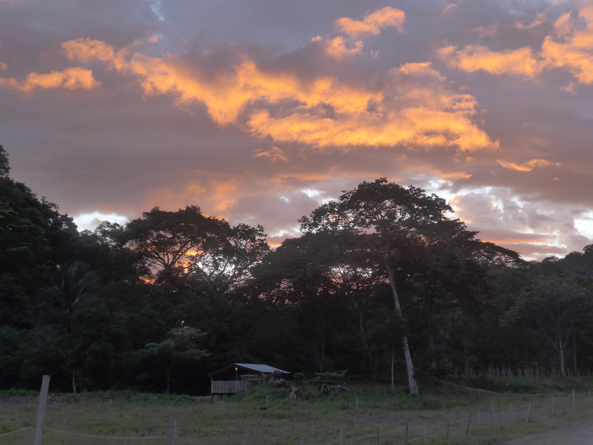 (211'944) - Abendstimmung am 21. November 2019 in La Cruz, Caas Castilla
