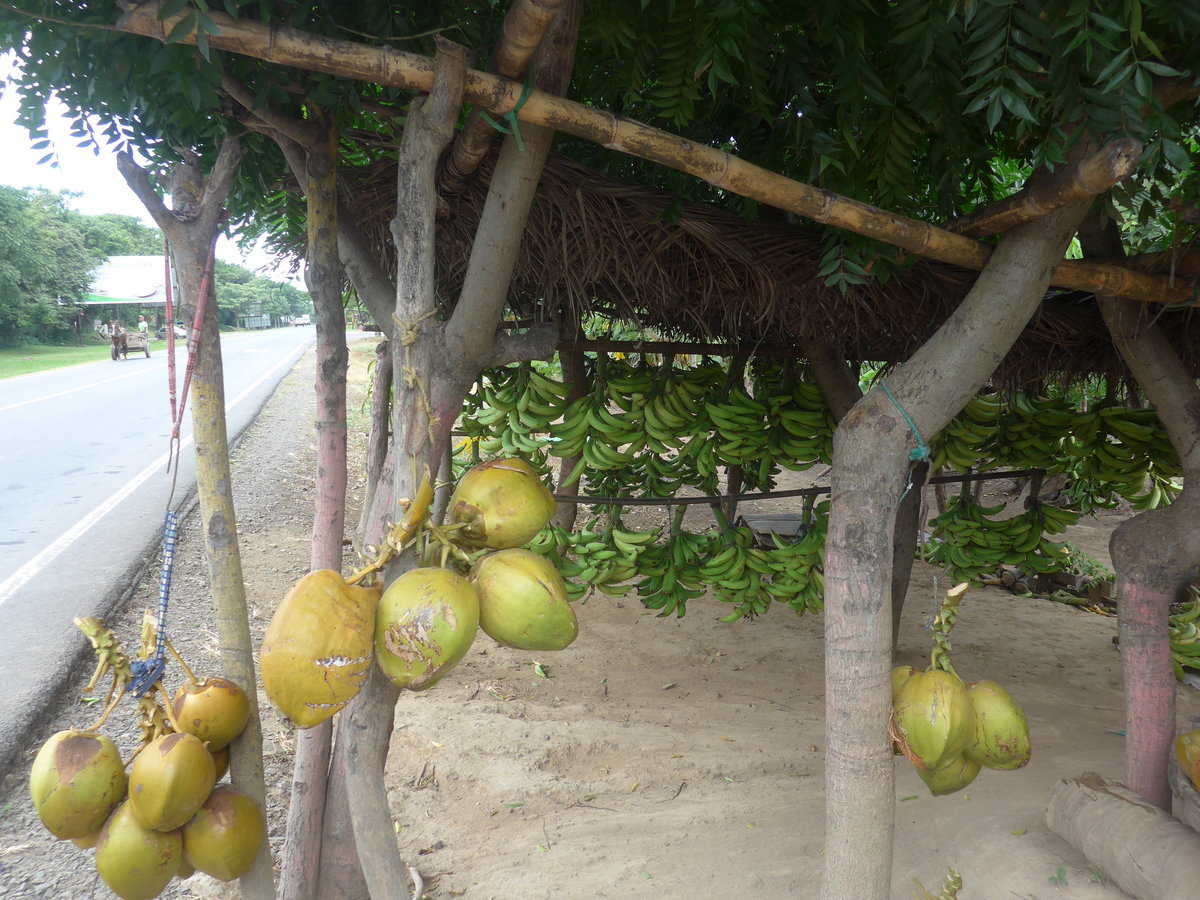 (212'004) - Kokosnsse und Bananen am 22. November 2019 bei Rivas
