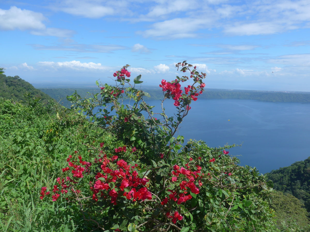 (212'043) - Vulkan Kratersee Apoyo mit Blumen am 22. November 2019 bei Catarina