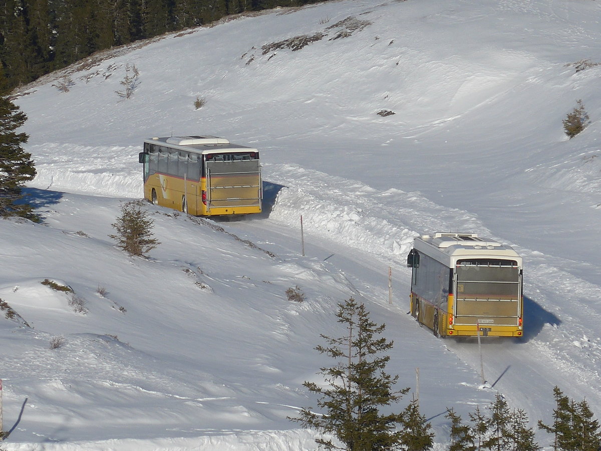 (213'423) - PostAuto Bern - BE 401'465 - Setra (ex AVG Meiringen Nr. 65) + BE 403'166 - Scania/Hess (ex AVG Meiringen Nr. 66; ex Steiner, Messen) am 5. Januar 2020 bei der Grossen Scheidegg