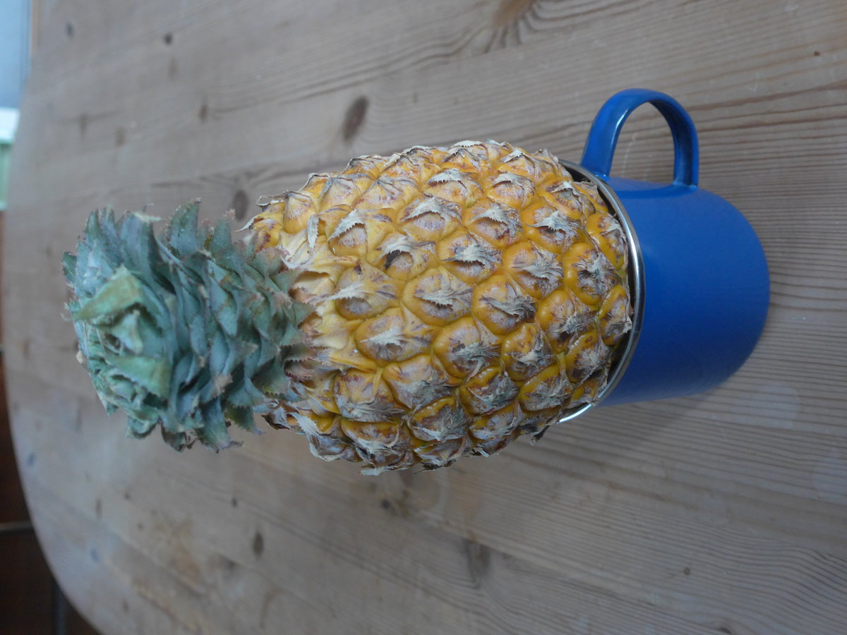 (214'414) - Frische Ananas aus Thailand am 18. Februar 2020 in Thun