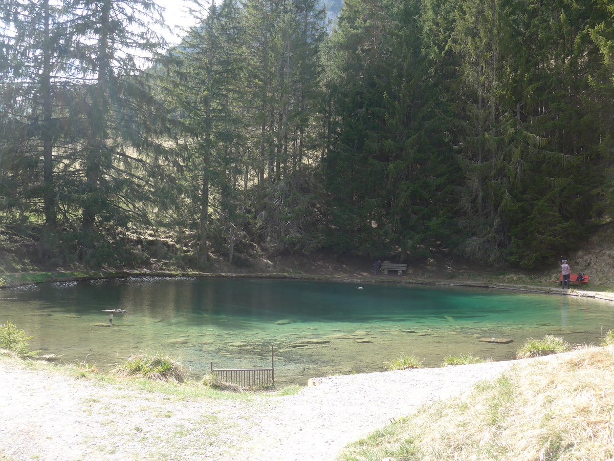 (216'182) - Das Blauseeli am 17. April 2020 auf der Grimmialp