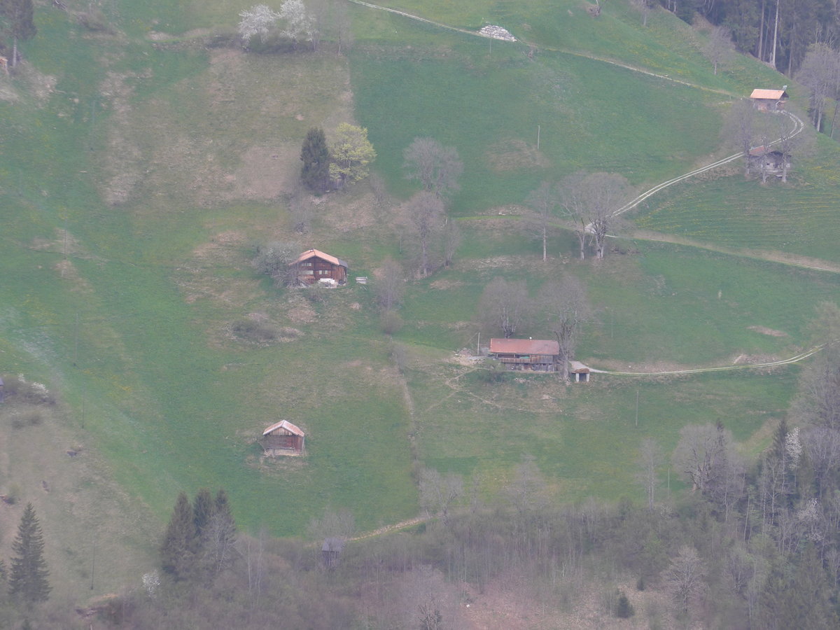 (216'415) - Das Zihl-Ladholz am 24. April 2020 vom Elsigbach bei Achseten aus