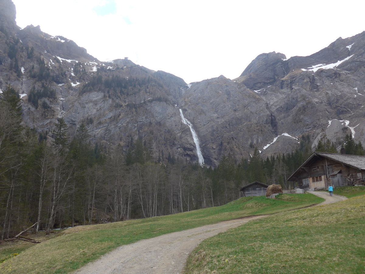 (216'428) - Die Engstligenflle am 24. April 2020 bei Adelboden