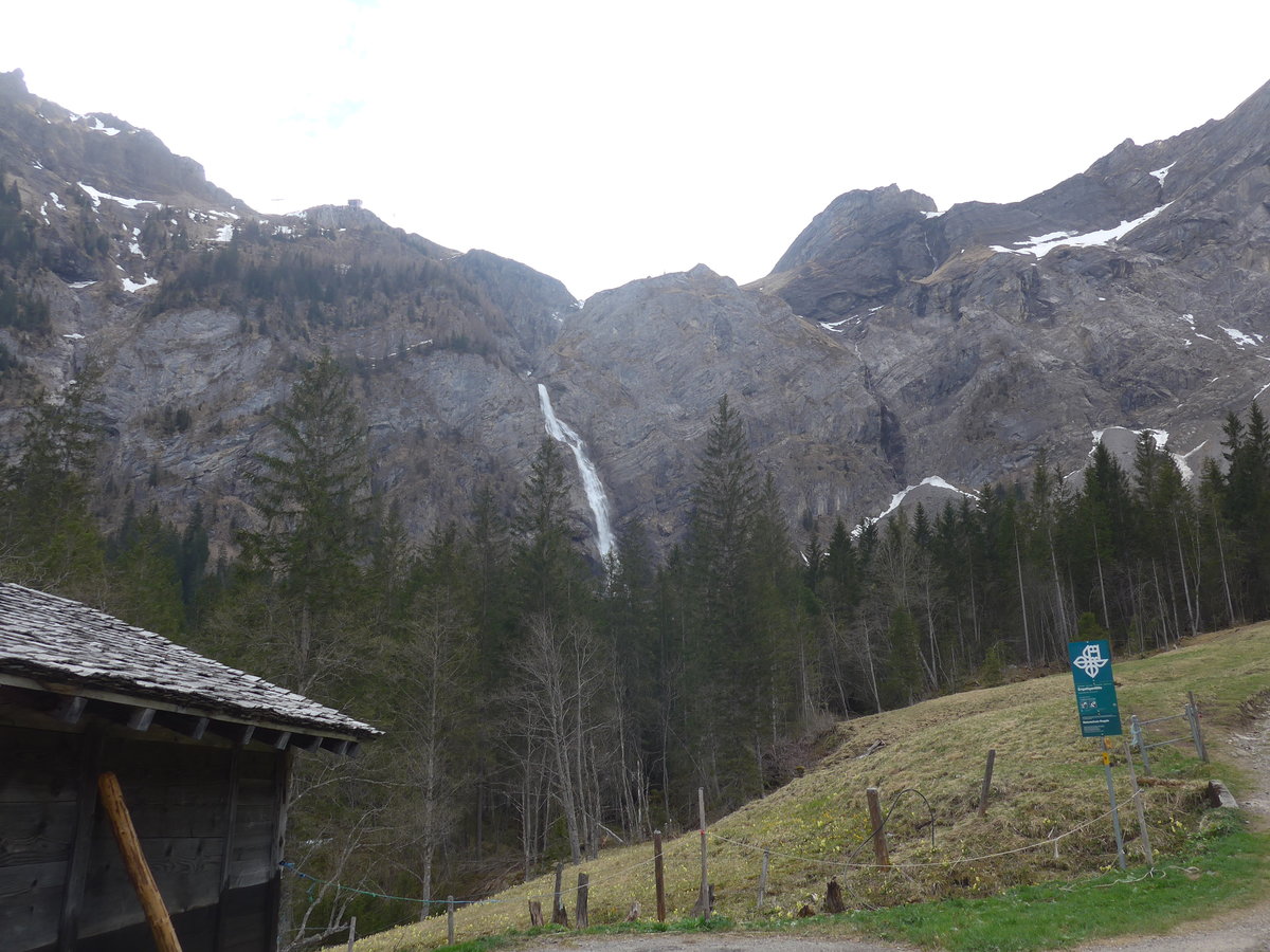 (216'429) - Die Engstligenflle am 24. April 2020 bei Adelboden