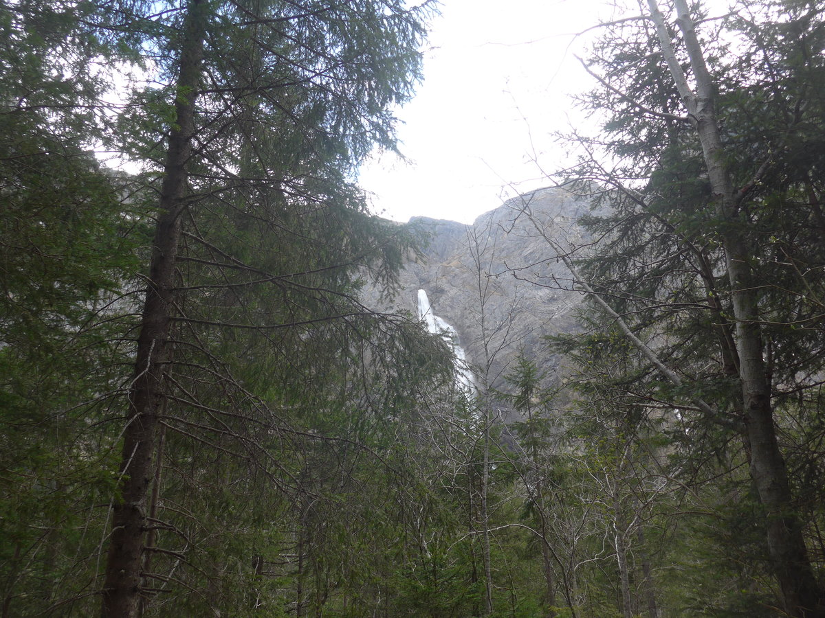 (216'430) - Die Engstligenflle am 24. April 2020 bei Adelboden