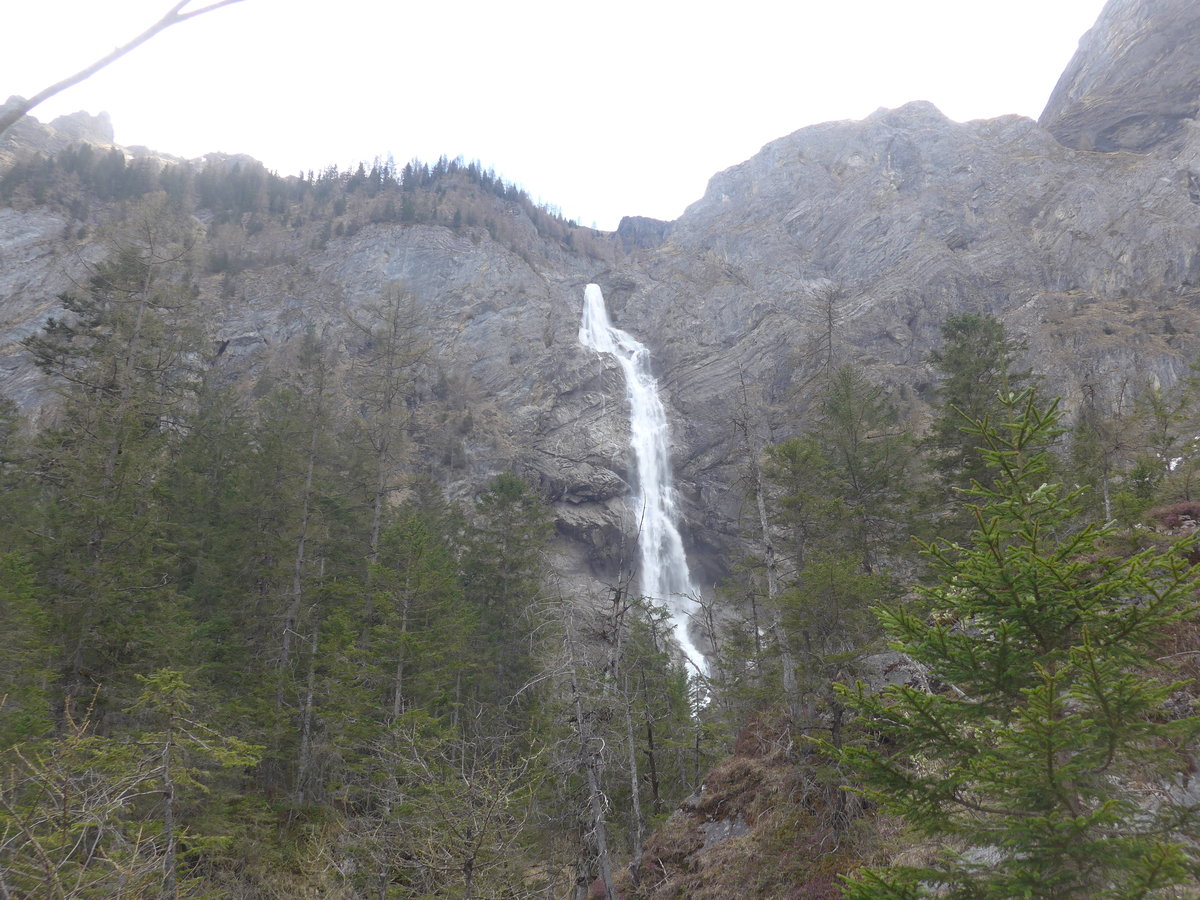 (216'432) - Die Engstligenflle am 24. April 2020 bei Adelboden