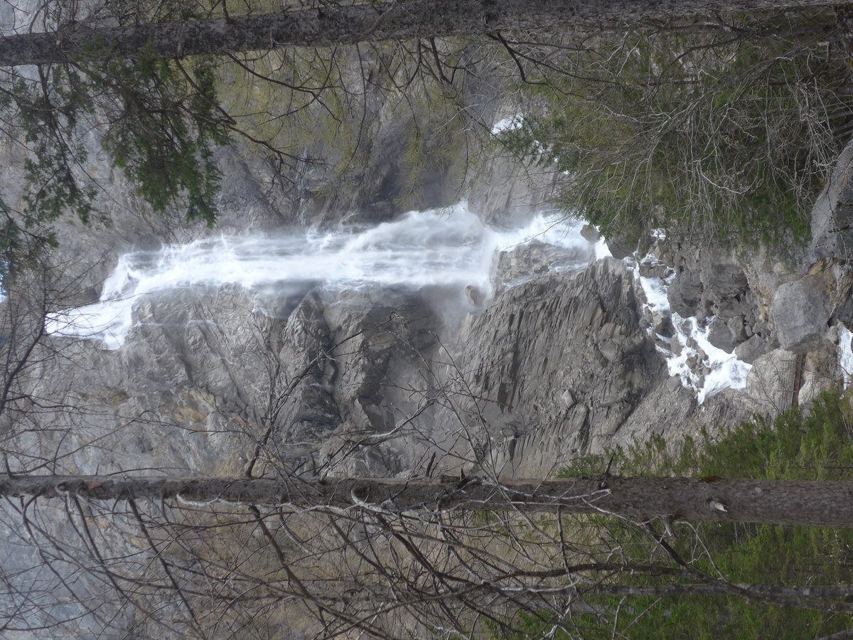 (216'433) - Die Engstligenflle am 24. April 2020 bei Adelboden