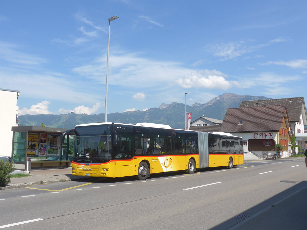 (216'864) - PostAuto Ostschweiz - SZ 125'405 - MAN am 9. Mai 2020 in Reichenburg, Kreuzwies