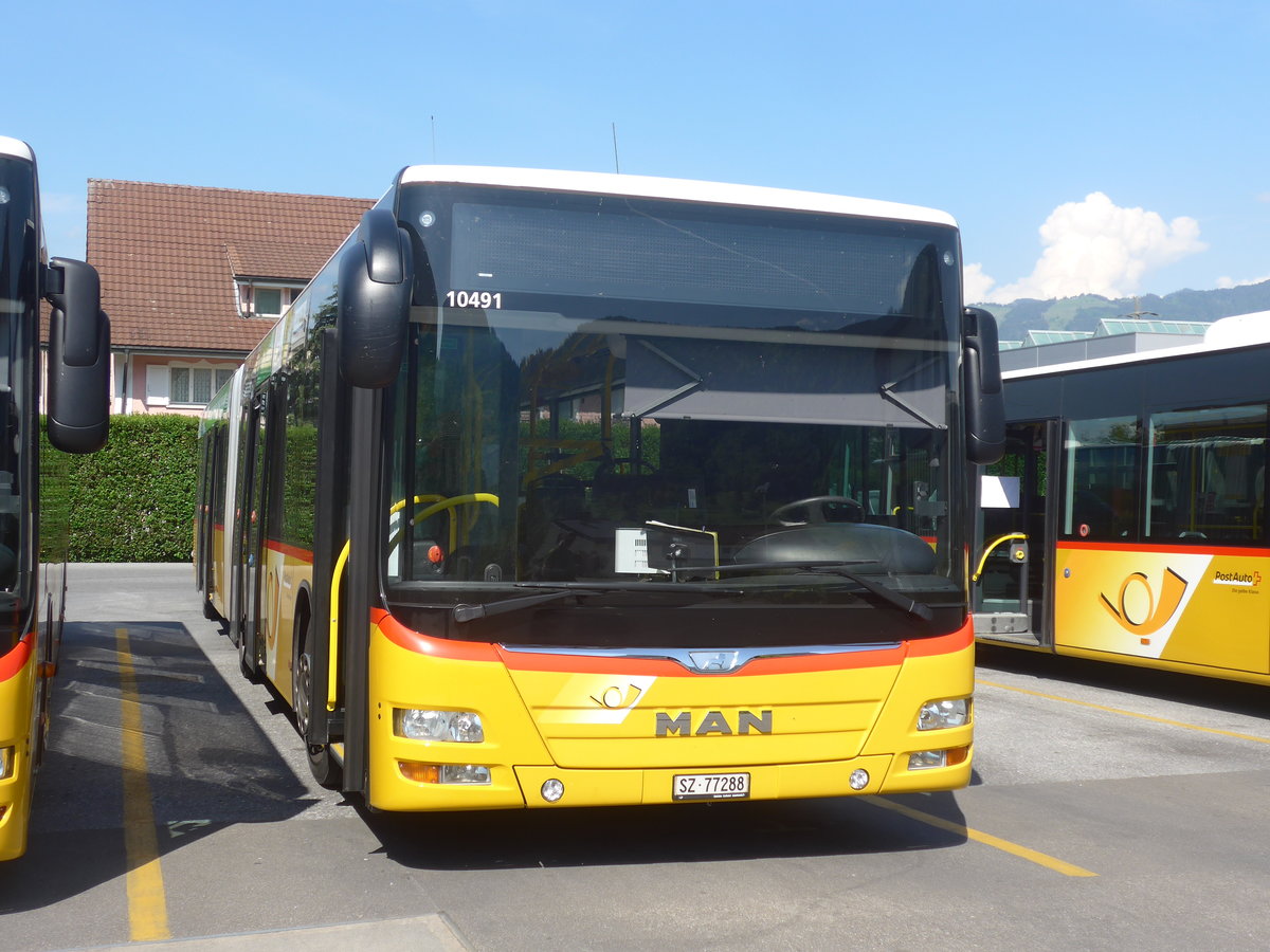 (216'876) - PostAuto Ostschweiz - SZ 77'288 - MAN (ex Kistler, Reichenburg) am 9. Mai 2020 in Reichenburg, Garage