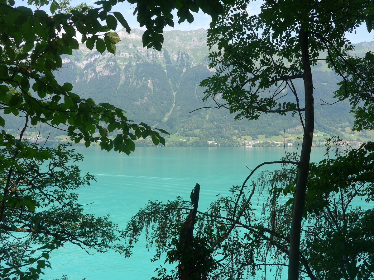 (219'263) - Am Brienzersee am 1. August 2020 in Iseltwald