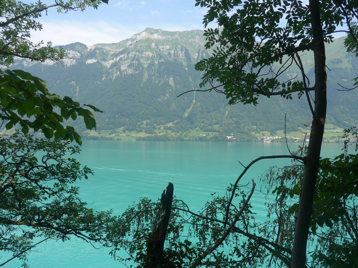(219'264) - Am Brienzersee am 1. August 2020 in Iseltwald