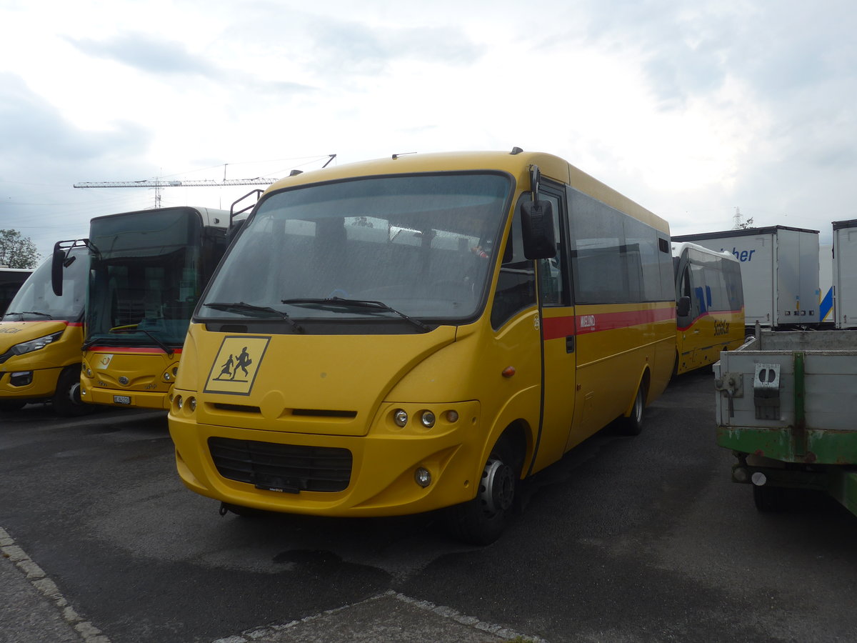 (219'370) - Wieland, Murten - Nr. 25 - Cacciamali am 2. August 2020 in Kerzers, Interbus