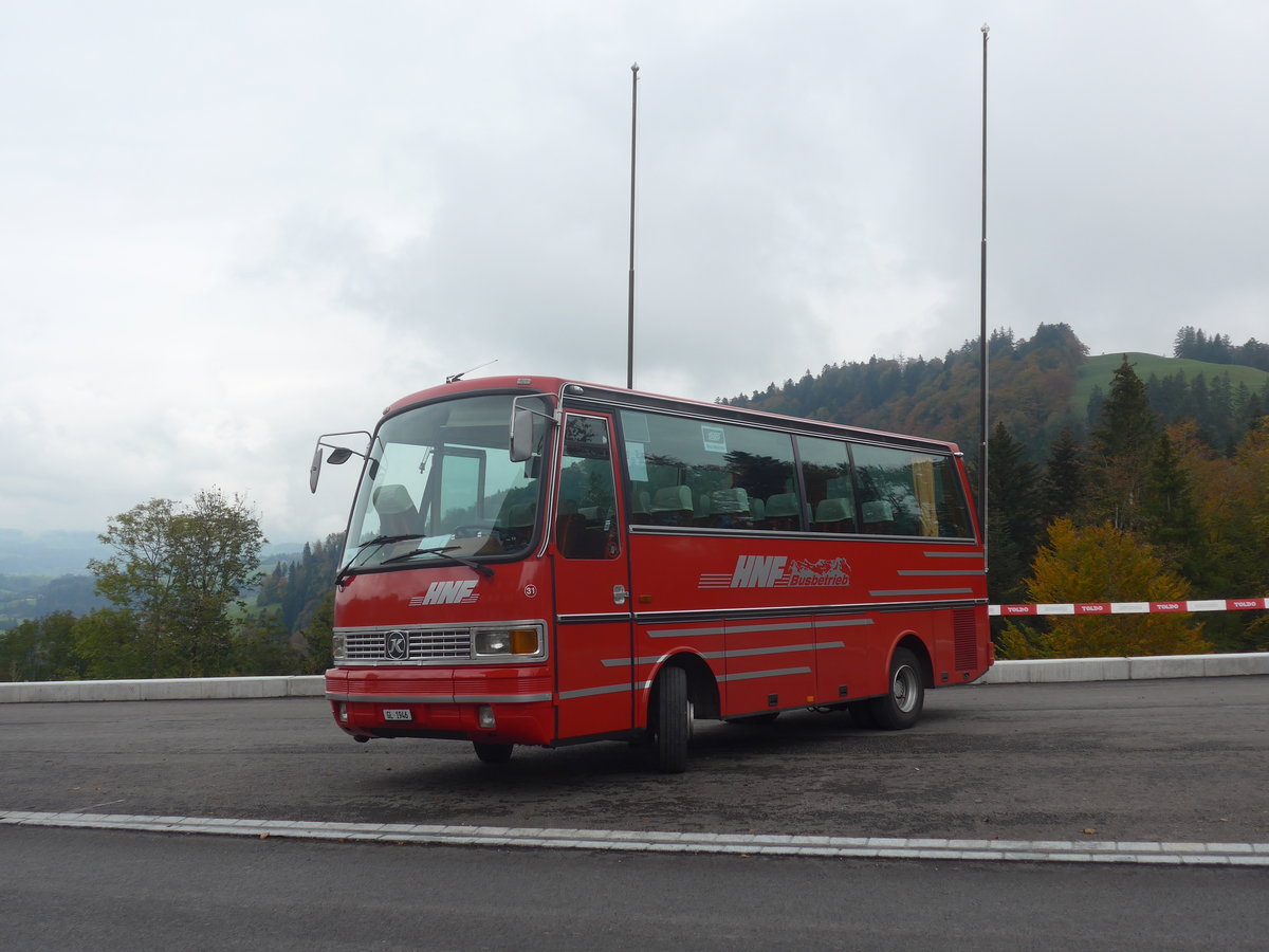 (221'853) - Biegger, Uster - Nr. 31/GL 1946 - Setra (ex AFA Adelboden Nr. 31; ex AFA Adelboden Nr. 10; ex Frhlich, Zrich) am 12. Oktober 2020 in Mhlrti, Hulftegg