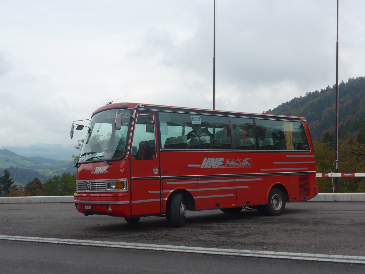 (221'854) - Biegger, Uster - Nr. 31/GL 1946 - Setra (ex AFA Adelboden Nr. 31; ex AFA Adelboden Nr. 10; ex Frhlich, Zrich) am 12. Oktober 2020 in Mhlrti, Hulftegg