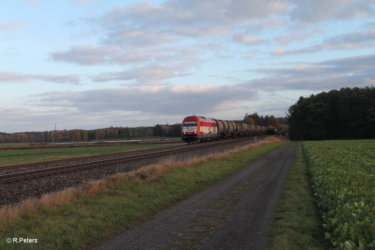 223 031 mit dem DGS95177 nach Marktredwitz bei Oberteich. 29.10.16