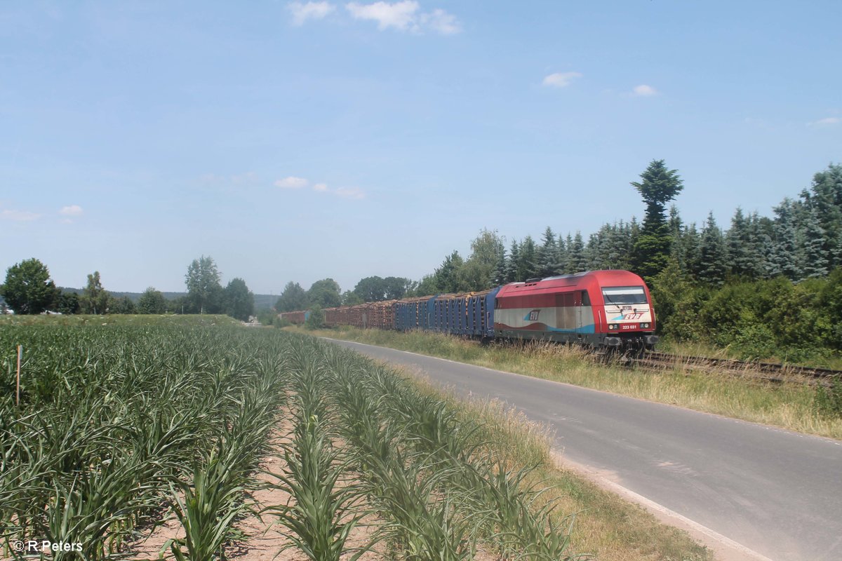 223 031 zieht bei Rothenstadt den Holzzug Schirnding - Deggendorf. 20.06.17