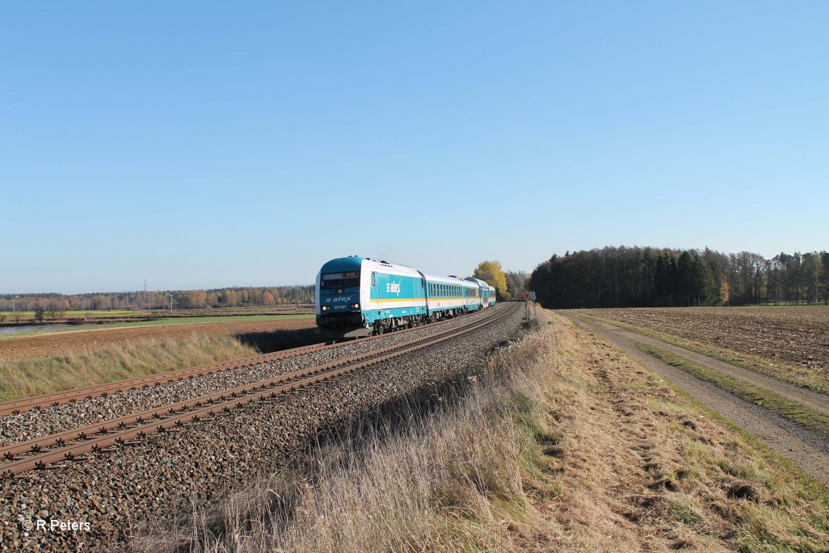 223 063 mit ALX84106 Mnchen nach Hof bei Oberteich. 31.10.13