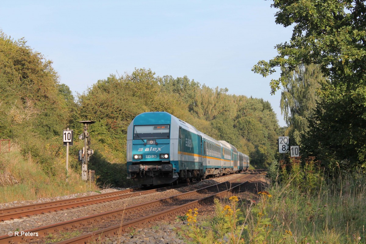 223 063 mit dem ALX84110 beim Vorsignal von Reuth bei Erbendorf. 16.09.14