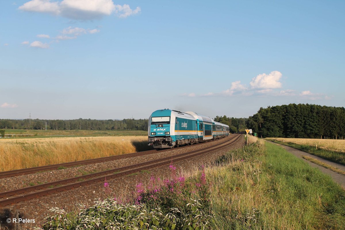 223 063 zieht bei Oberteich den ALX84112 München - Hof. 20.07.16