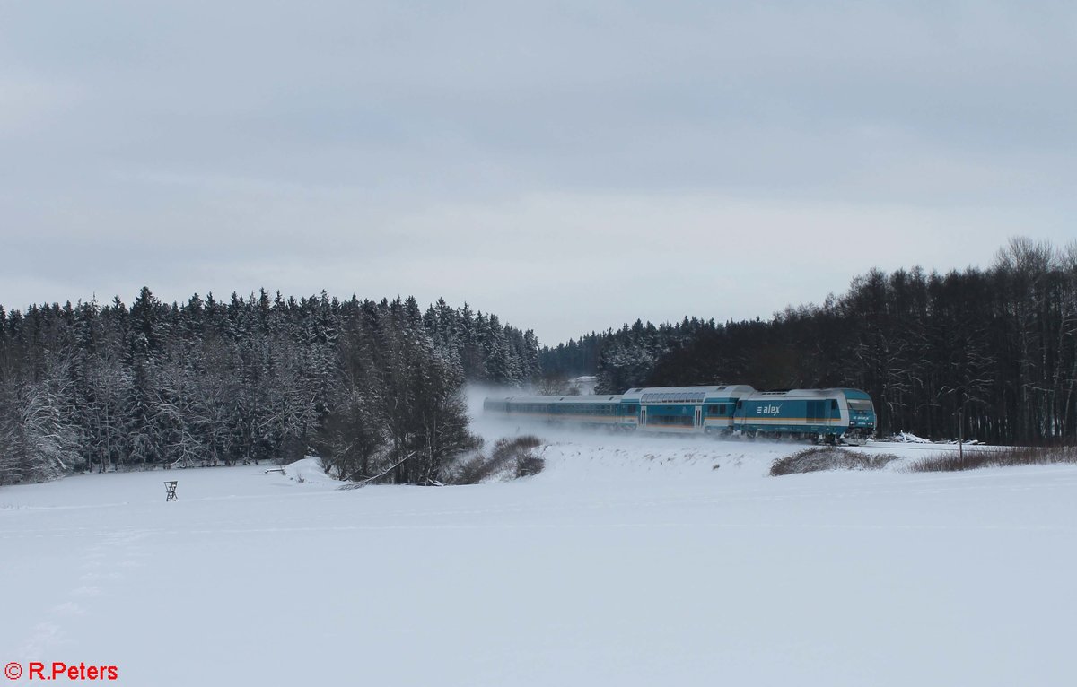 223 064 als ALX84111 Hof - München bei Oberteich. 17.01.17