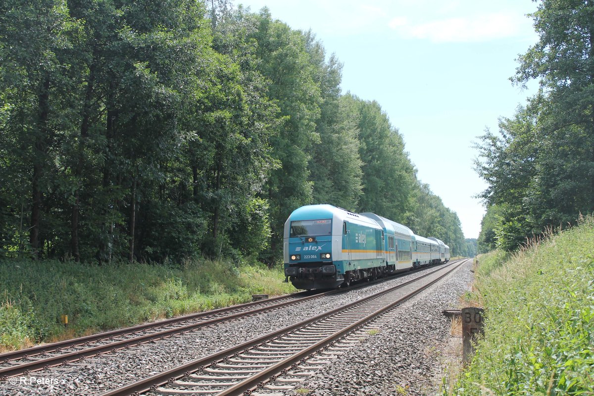 223 064 zieht beim Posten 16 den ALX84106 München - Hof kurz vor Wiesau. 09.07.16