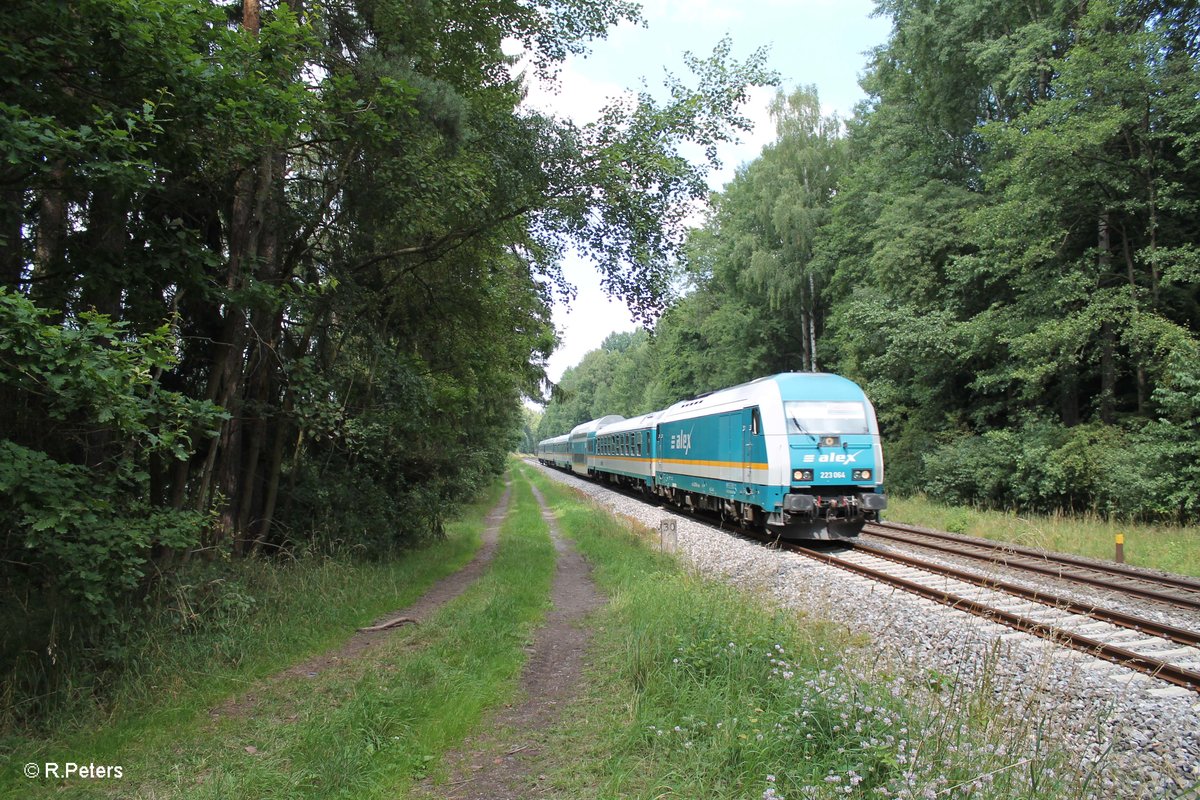 223 064 zieht südlich von Wiesau den ALX84115 Hof - München . 16.07.16