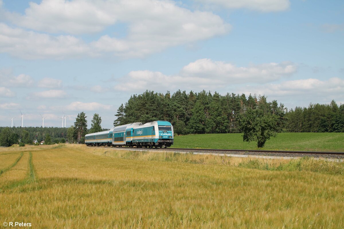 223 065 Alexa als ALX RE2 79854 Hof - München bei Marktleuthen. 21.07.21