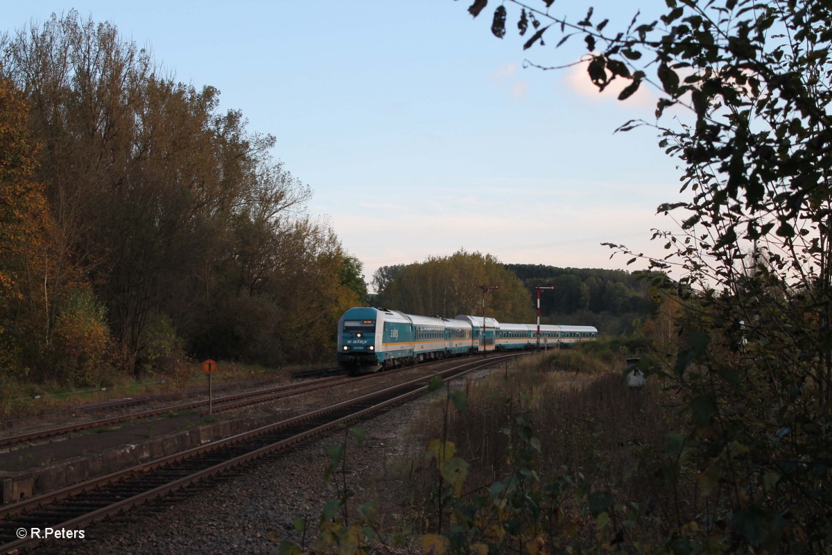 223 065 mit dem ALX84110 München - Hof in Reuth bei Erbendorf. 14.10.14