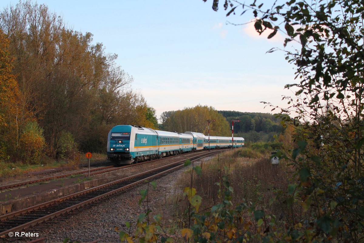 223 065 mit dem ALX84110 München - Hof in Reuth bei Erbendorf. 14.10.14