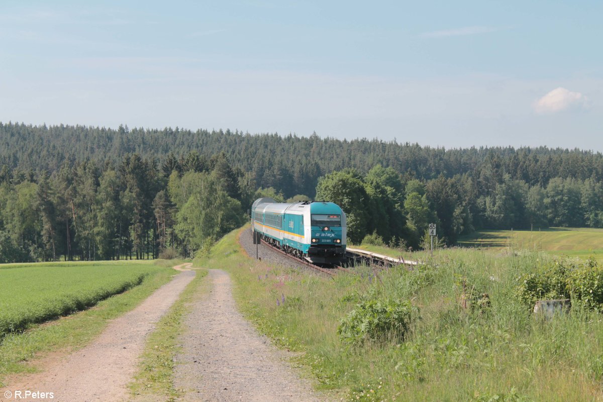 223 065 zieht den ALX84103 München - Hof bei Neudes. 26.05.18