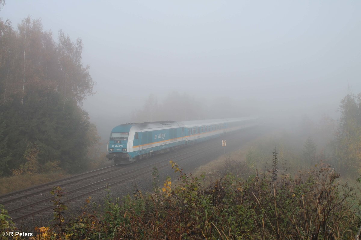 223 065 zieht den ALX84111 Hof - München bei Marktredwitz durch den Nebel. 18.10.17