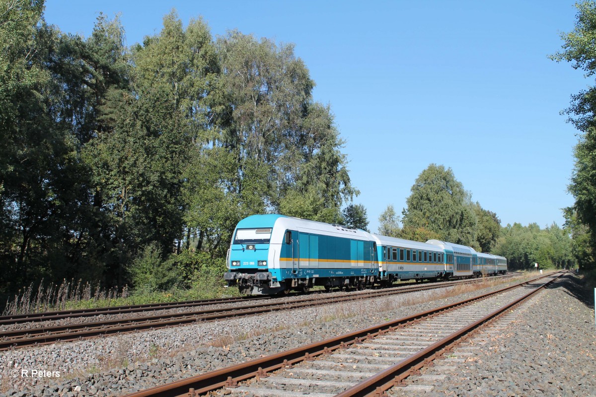 223 066 mit ALX84115 Hof - Mnchen bei Schnfeld. 01.10.13