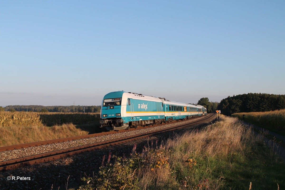 223 066 mit dem ALX84110 Mnchen - Hof bei Oberteich. 01.10.13