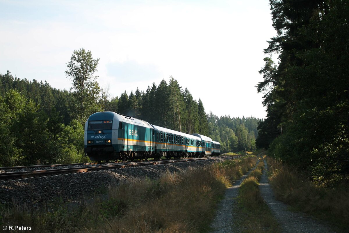 223 067 als ALX RE2 79861 München - Hof zwischen Reuth und Wiesau. 13.08.21