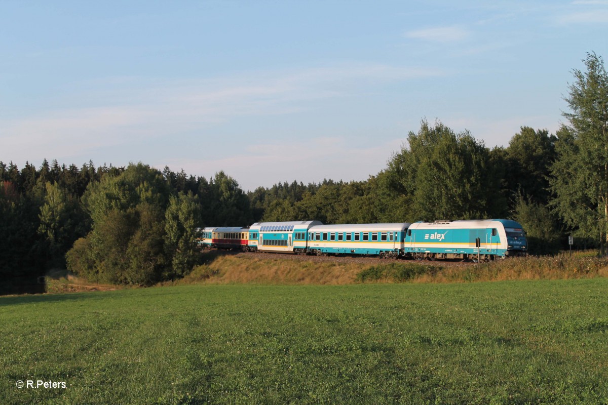 223 067 mit ALX84121 Hof nach Mnchen bei Oberteich. 07.09.13