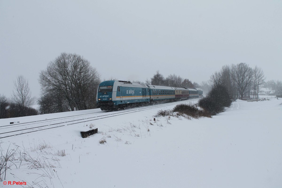 223 067 zieht bei Schönfeld den ALX84106 München - Hof durch das Schneetreiben. 14.01.17