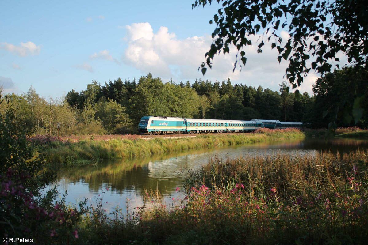 223 069 zieht den ALX RE2 79875 München - Hof an den südlichen Waldteiche Wiesau vorbei. 20.08.21